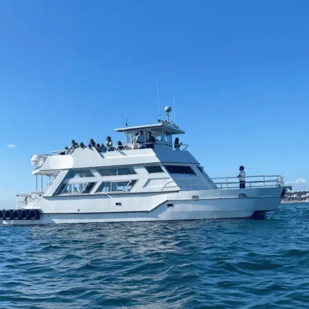 Catamarán Gigante de Eventos | 40 Pasajeros
