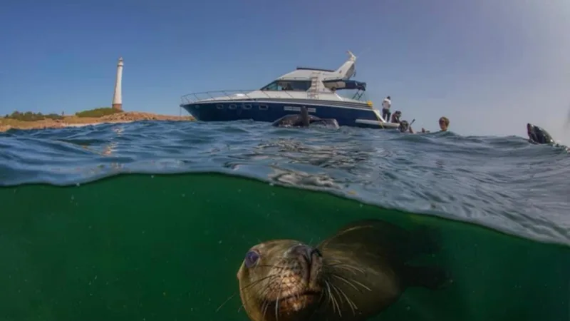 Yate fondeado en Isla de Lobos, Punta del Este, Uruguay